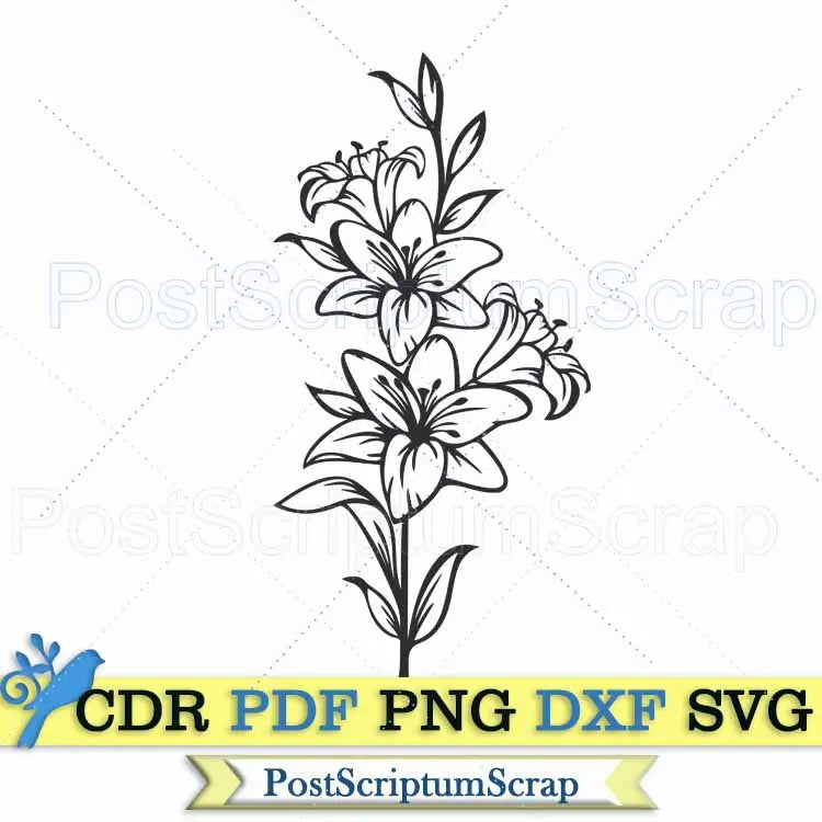 lily flower svg free Lily flower svg clipart bouquet botanical png easter – Postscriptum