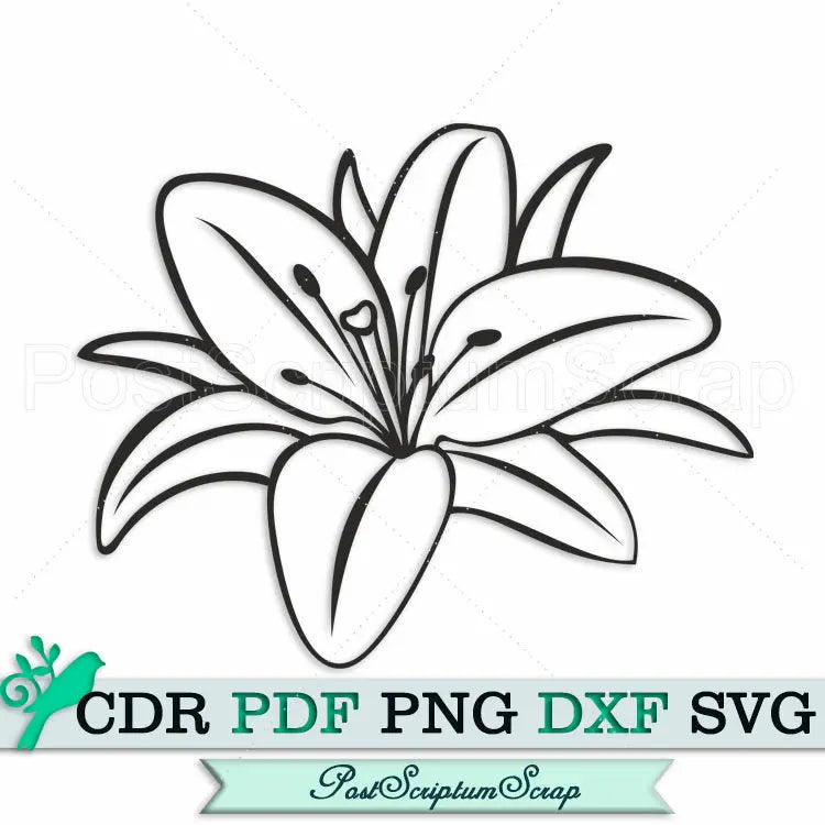 Lily svg flower clipart files for cricut silhouette botanical
