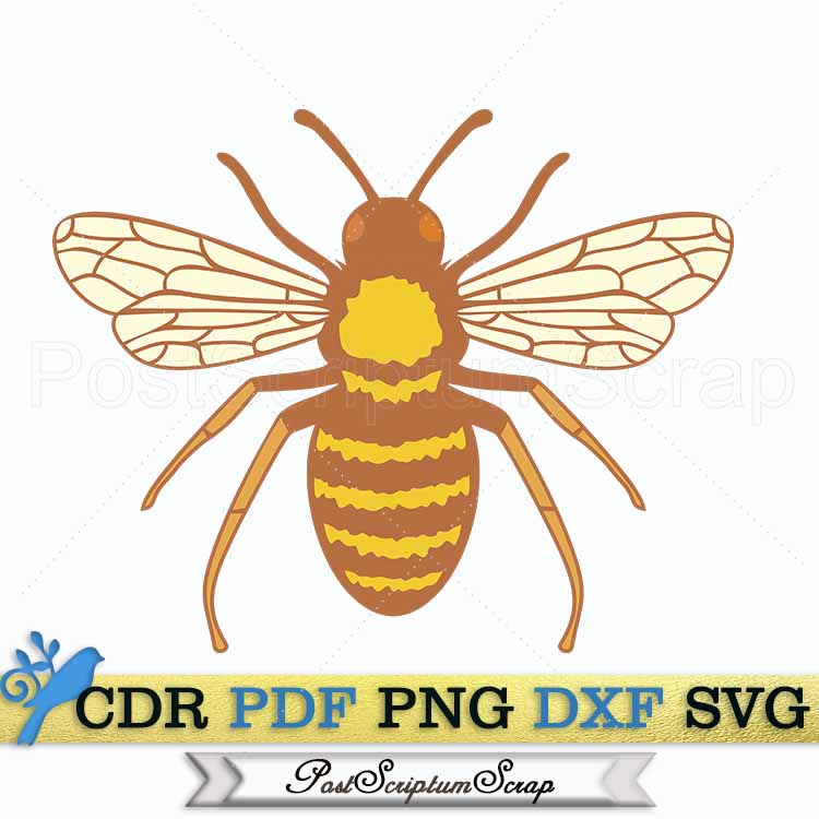 Bee svg silhouette