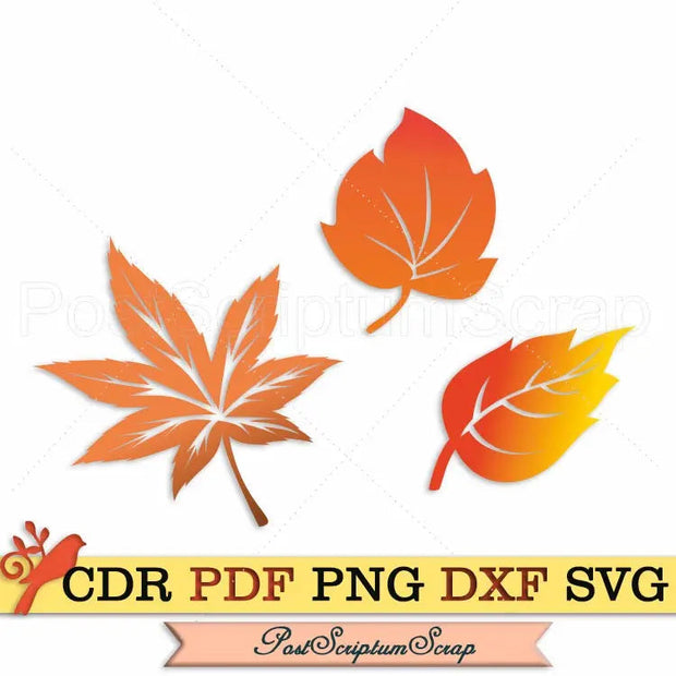 Leaves svg Autumn clipart nature png plant PostScriptum Scrap