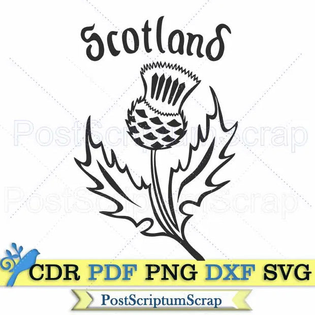 Scottish thistle svg clipart celtic ornament silhouette