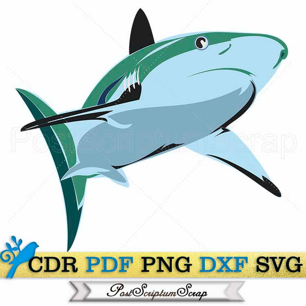 Shark svg clipart