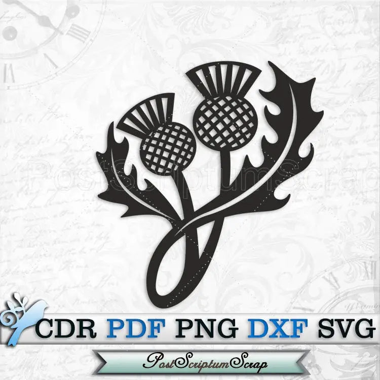 Thistle svg clipart scottish