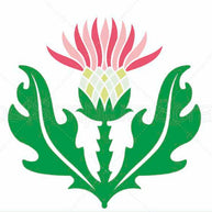 Thistle svg clipart scottish design flower silhouette